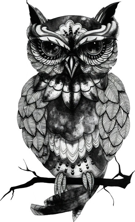 Coruja detalhada em blackwork
