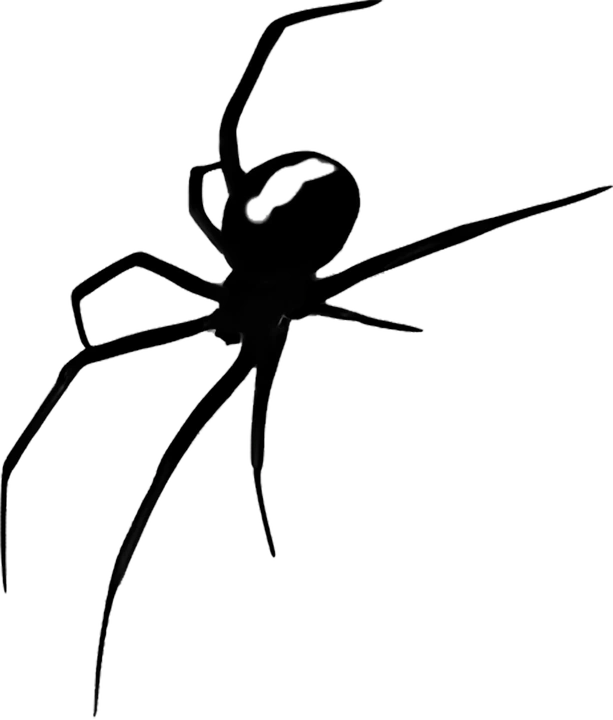 Aranha em blackwork